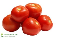Harga Tomat Hari Ini
