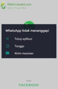 WhatsApp Tidak Menanggapi